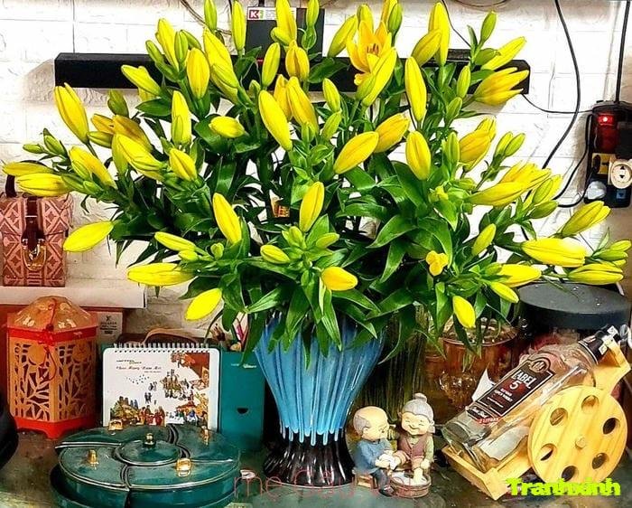 ảnh bình hoa buổi sáng