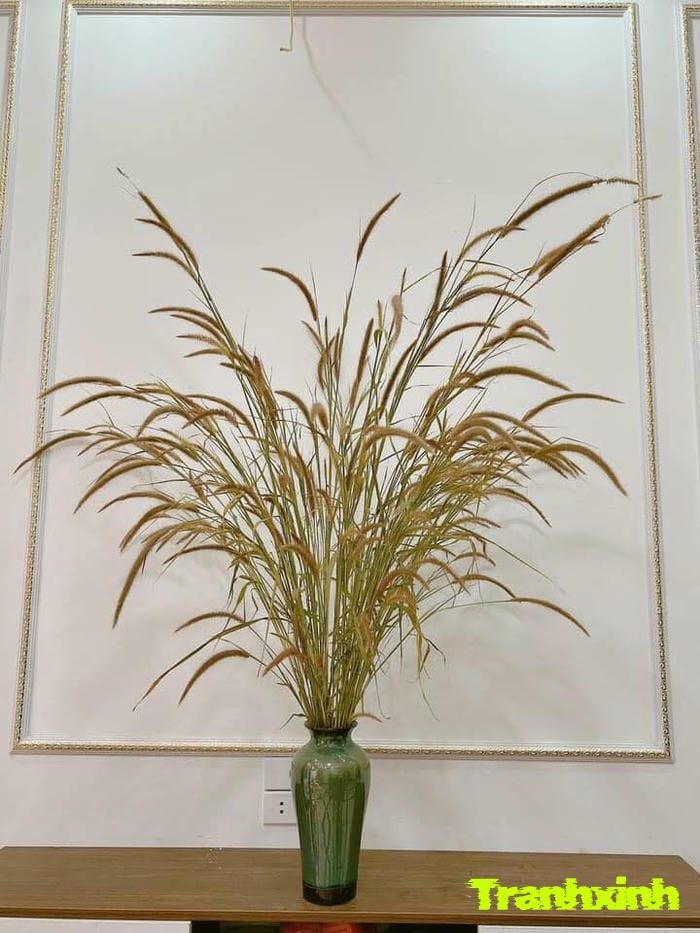 ảnh bình hoa khô