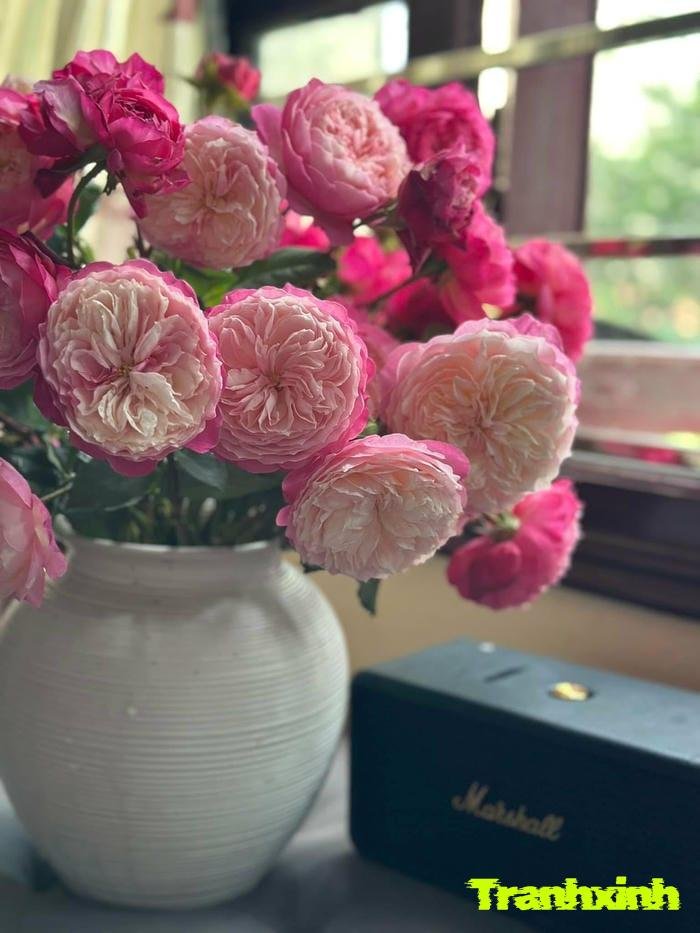 ảnh bình hoa nhẹ nhàng