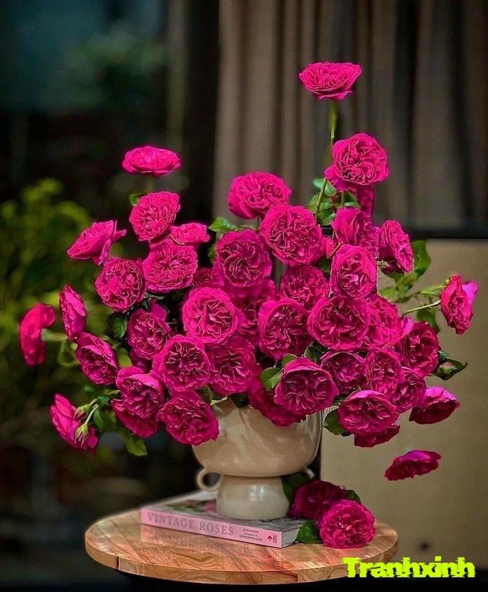 ảnh bình hoa phòng khách