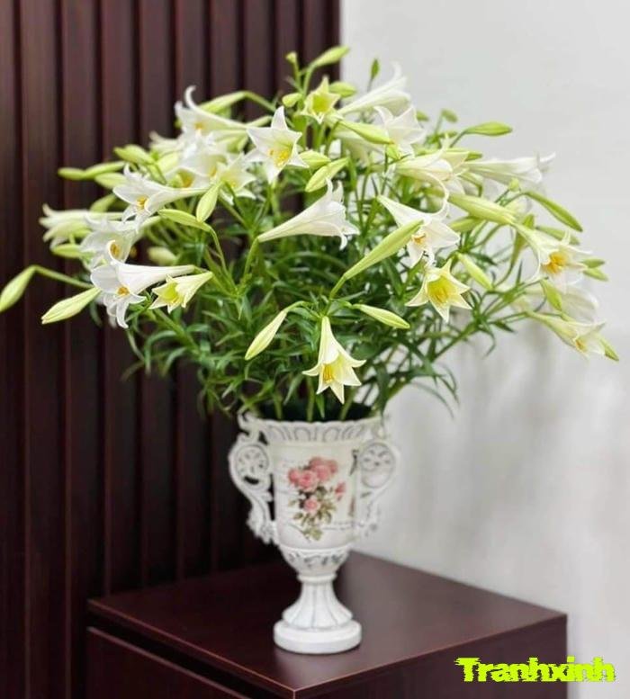 ảnh bình hoa thẩm mỹ