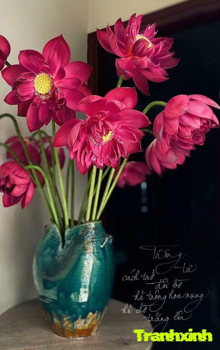 ảnh bình hoa việt nam