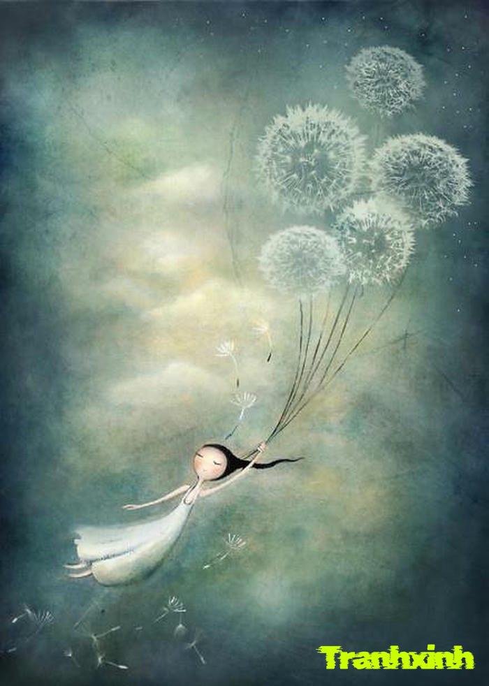 ảnh bồ công anh và sương mù