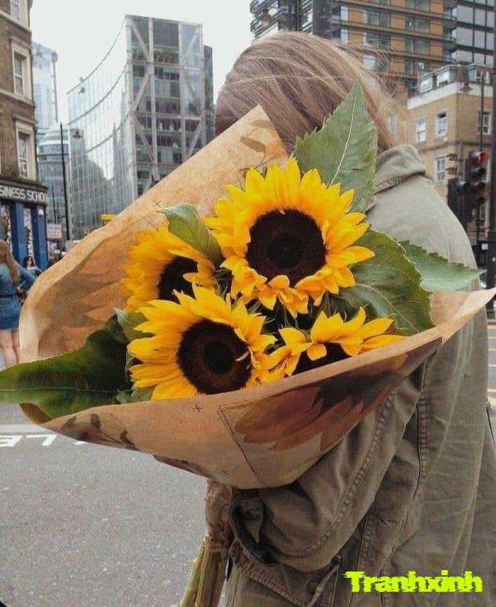 ảnh bó hoa buổi sáng