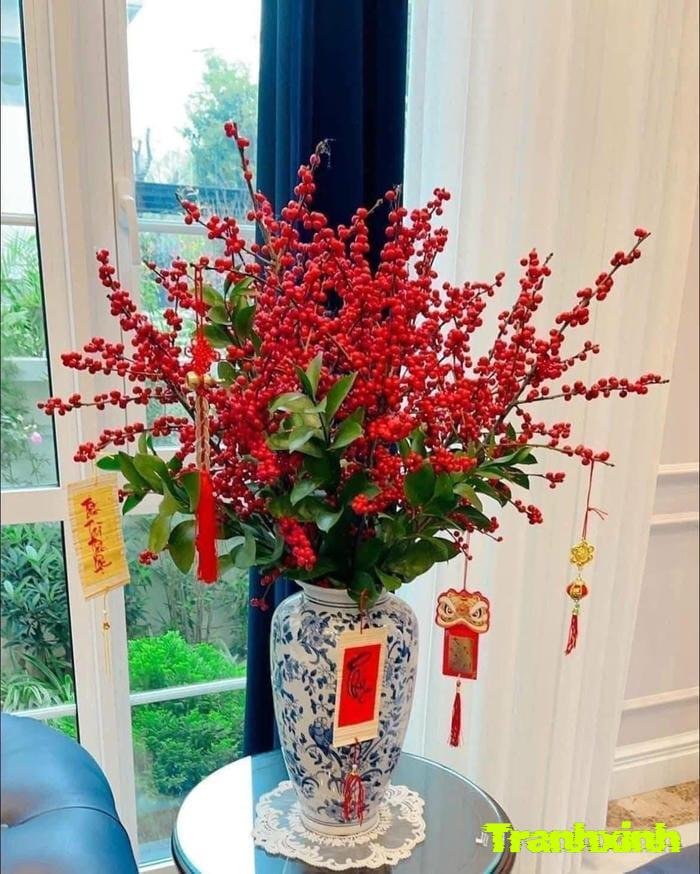 ảnh chậu hoa tết