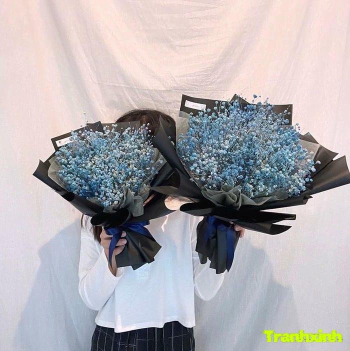 ảnh hoa baby đẹp lãng mạn