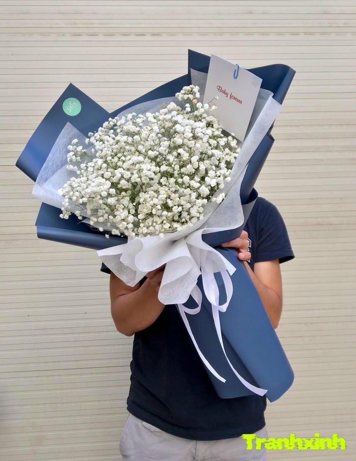 ảnh hoa baby kiểu tối giản