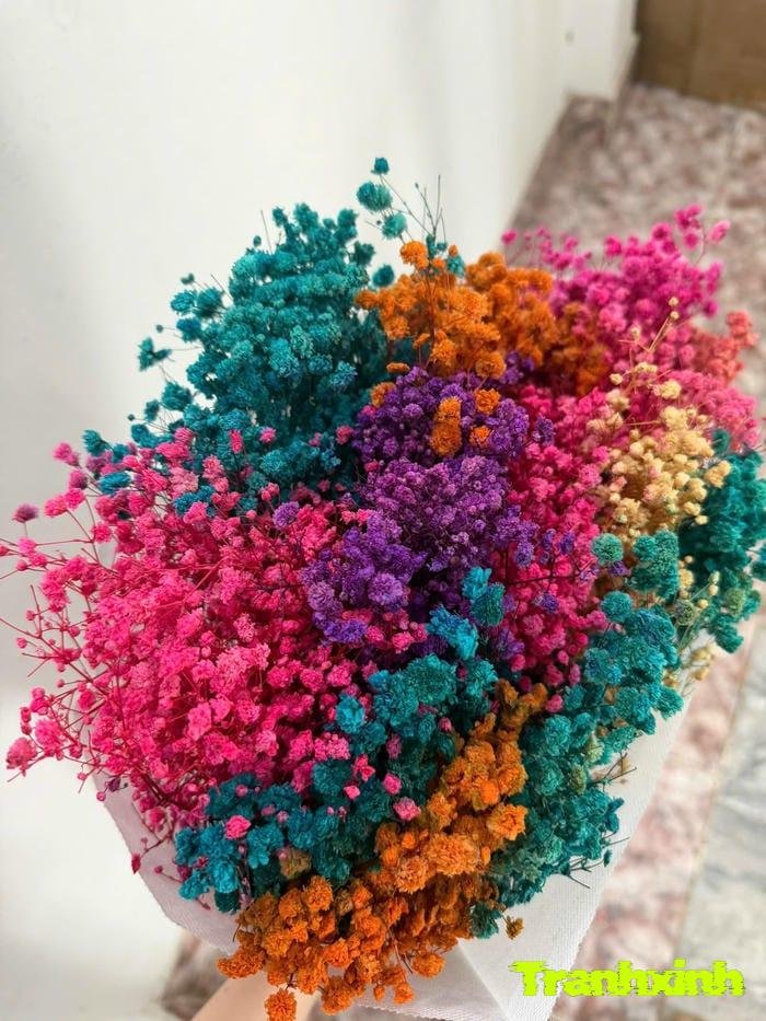 ảnh hoa baby nhẹ nhàng