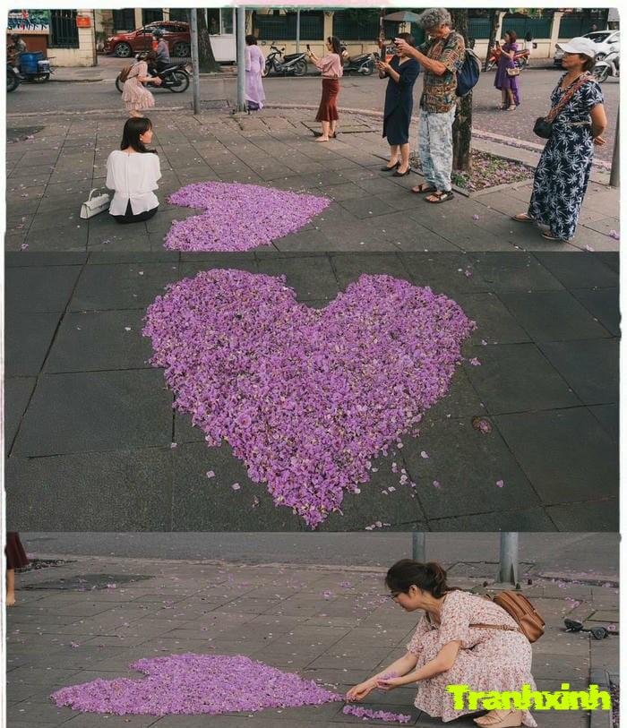 ảnh hoa bằng lăng đơn giản