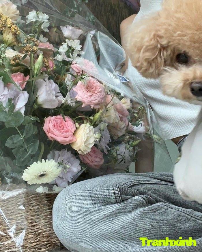 ảnh hoa buồn chụp cận