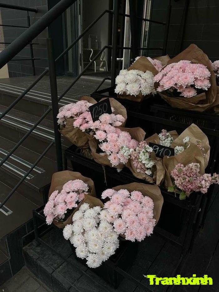 ảnh hoa buồn đẹp và u sầu