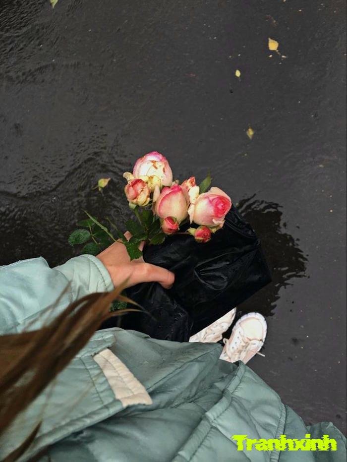 ảnh hoa buồn kịch tính