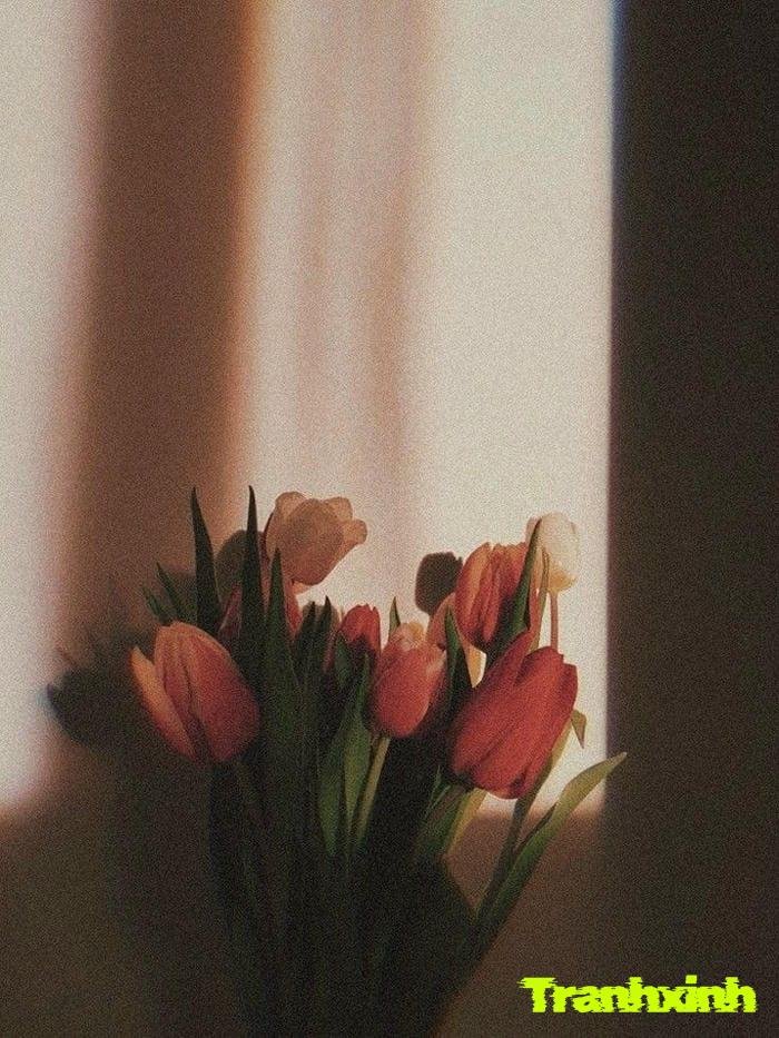 ảnh hoa buồn màu trầm