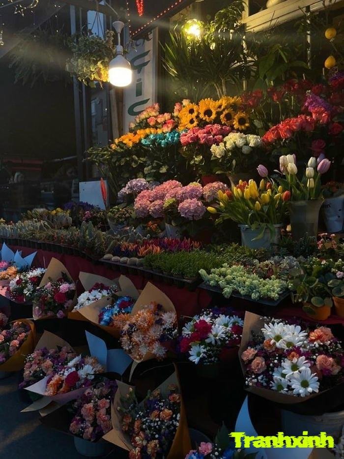 ảnh hoa buồn và tâm hồn