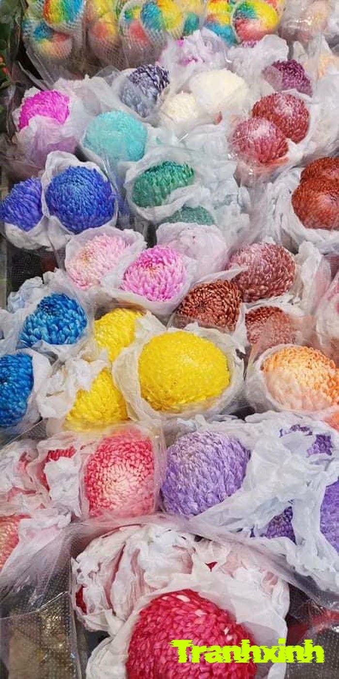 ảnh hoa cúc đẹp rực rỡ