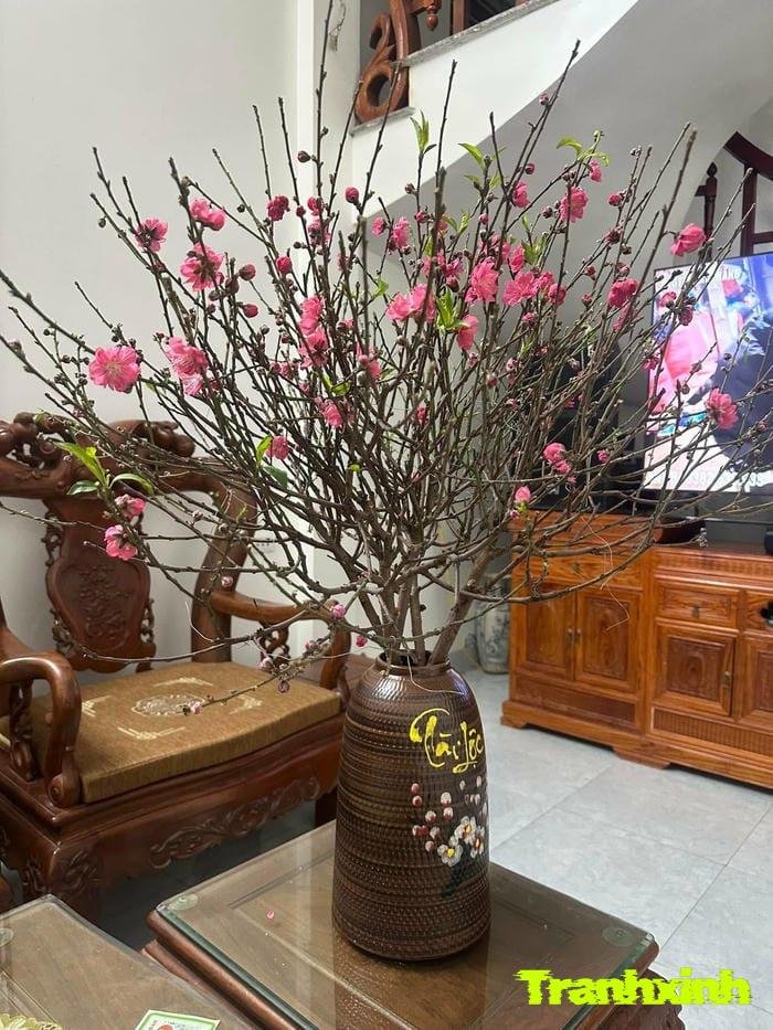 ảnh hoa đào tối giản