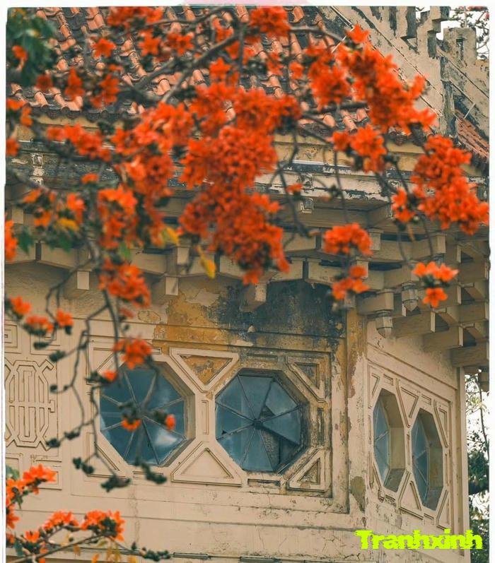 ảnh hoa gạo và nhà cổ