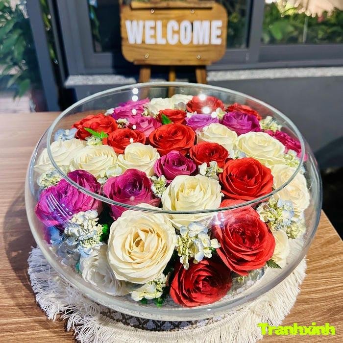 ảnh hoa hồng và bóng đêm