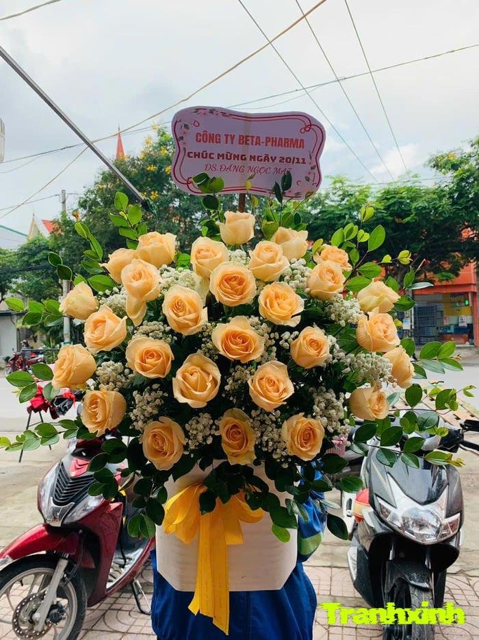 ảnh hoa hồng và bướm