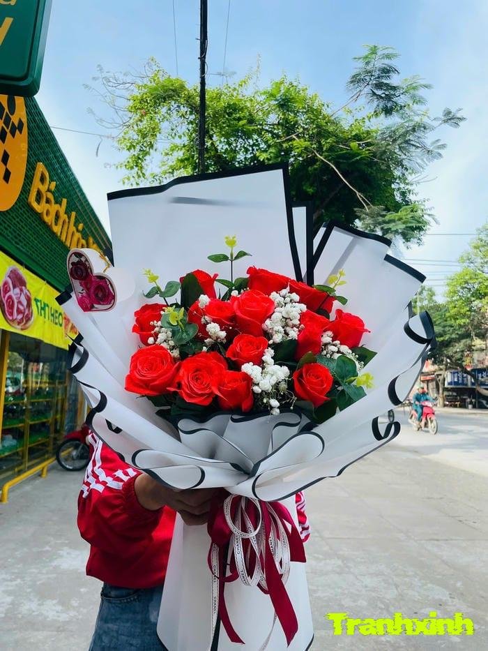 ảnh hoa hồng với màu sắc