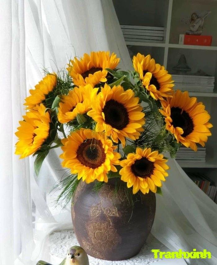 ảnh hoa hướng dương kiểu tối giản