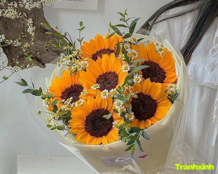 ảnh hoa hướng dương và cô gái