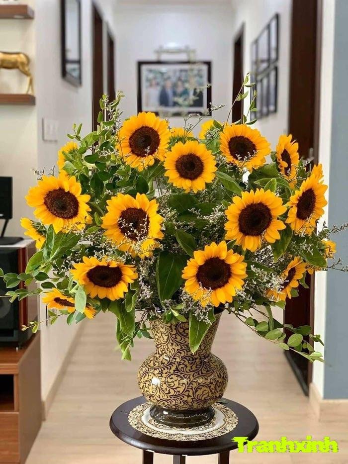 ảnh hoa hướng dương vàng