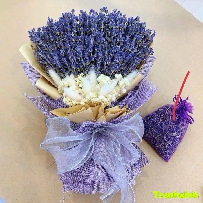 ảnh hoa lavender màu than và tường