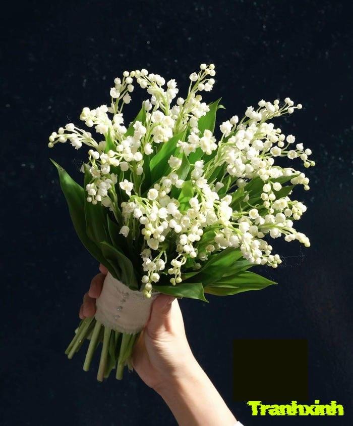 ảnh hoa linh lan và bó hoa
