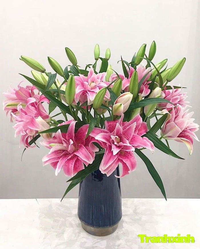 ảnh hoa ly cánh kép