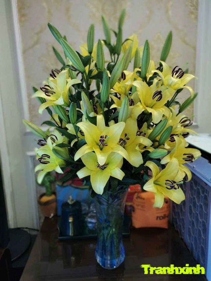 ảnh hoa ly kiểu vintage