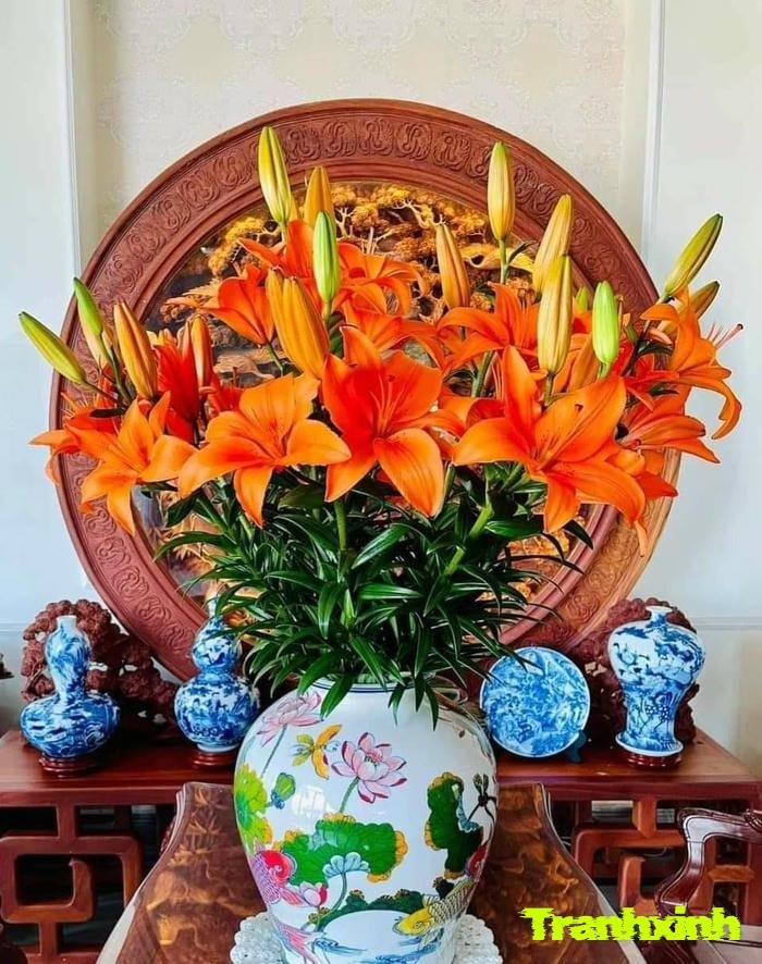 ảnh hoa ly nghệ thuật