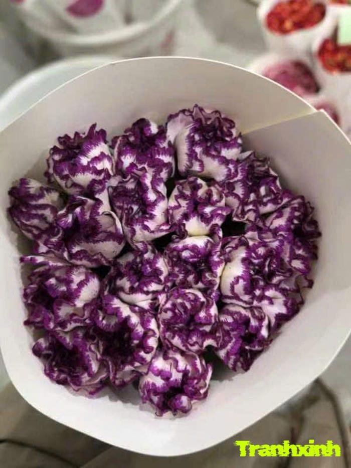 ảnh hoa màu than ấn tượng