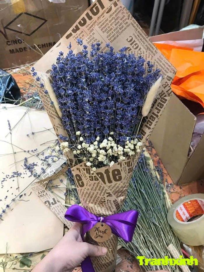 ảnh hoa màu than đơn giản