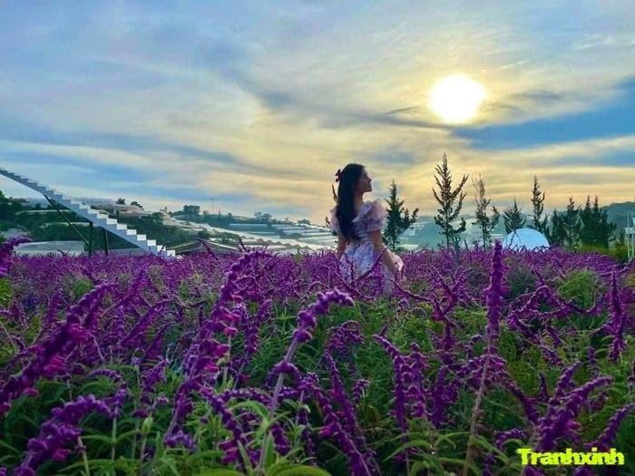 ảnh hoa màu than gothic