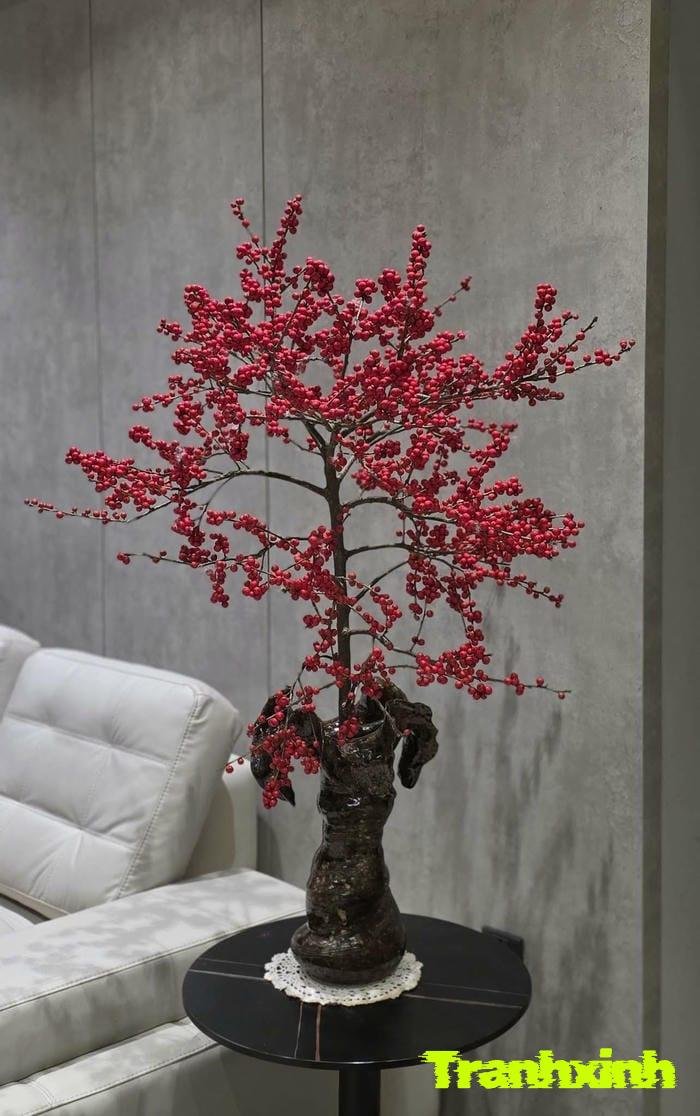 ảnh hoa tết lãng mạn