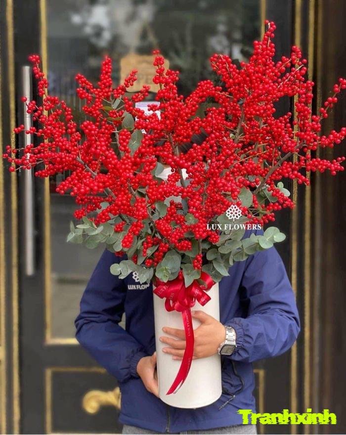 ảnh hoa tết và đèn lồng