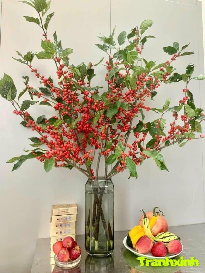 ảnh hoa tết việt nam