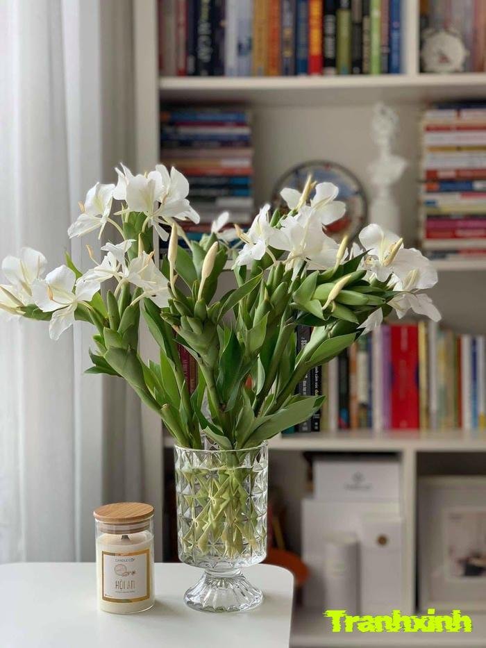 ảnh hoa trắng chi tiết