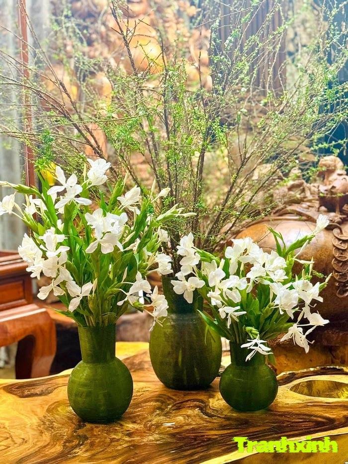 ảnh hoa trắng đơn sắc