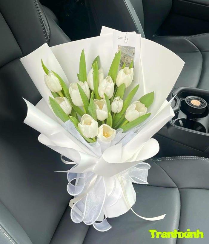 ảnh hoa trắng thẩm mỹ