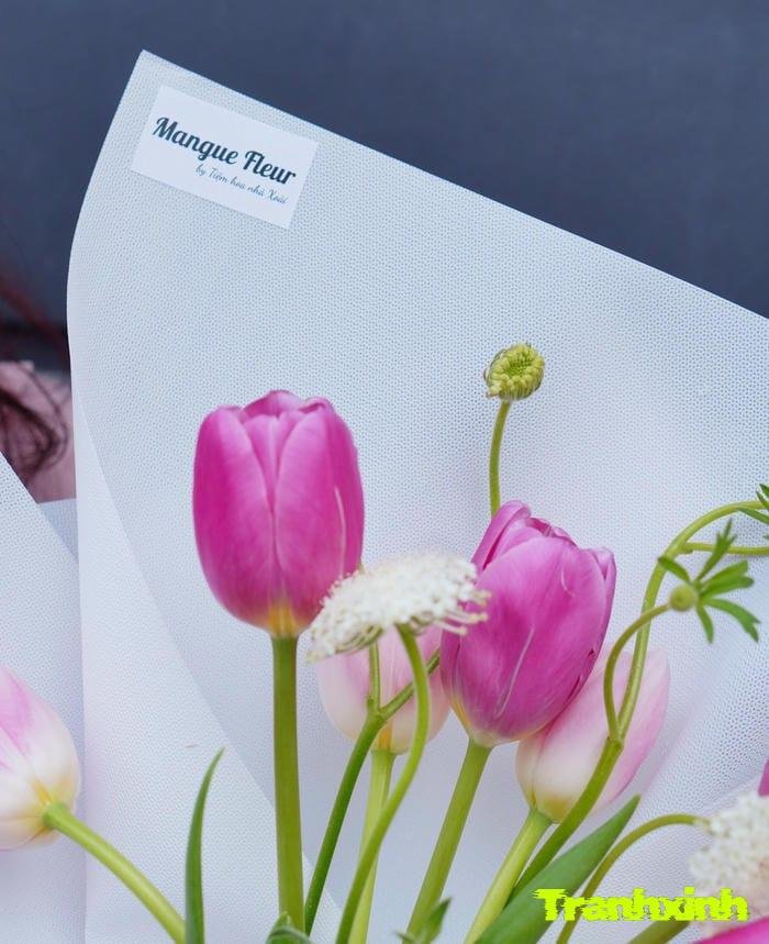 ảnh hoa tulip cho bó hoa