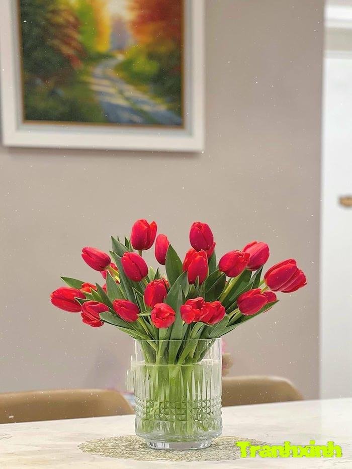 ảnh hoa tulip đỏ