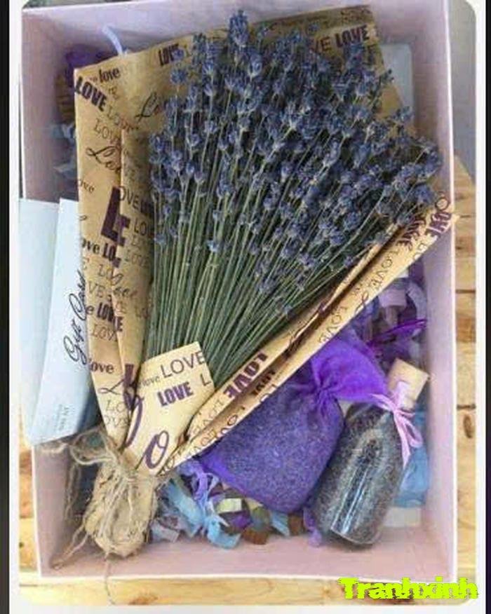 ảnh lavender màu than chụp cận