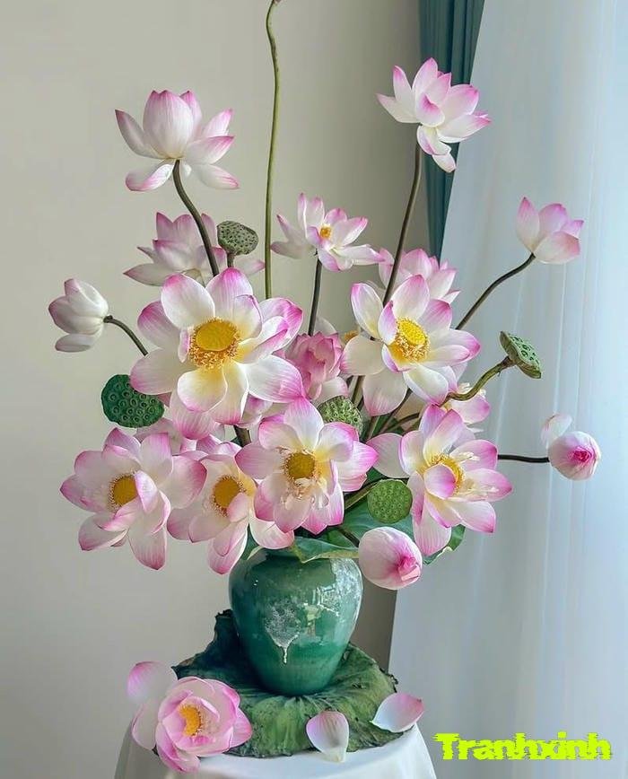 bình hoa và ánh sáng