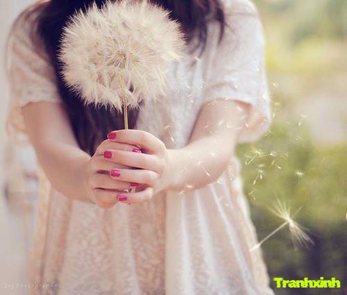 bồ công anh và cô gái