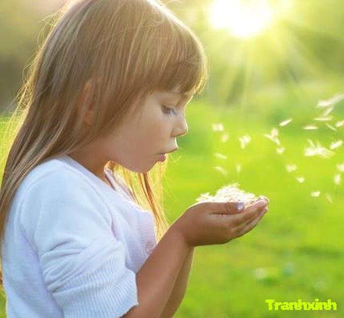 bồ công anh và niềm hy vọng