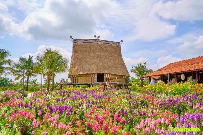 cánh đồng hoa và nhà