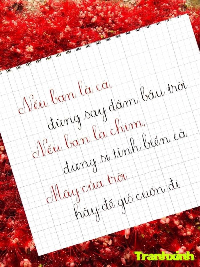 decor bài viết chữ đẹp