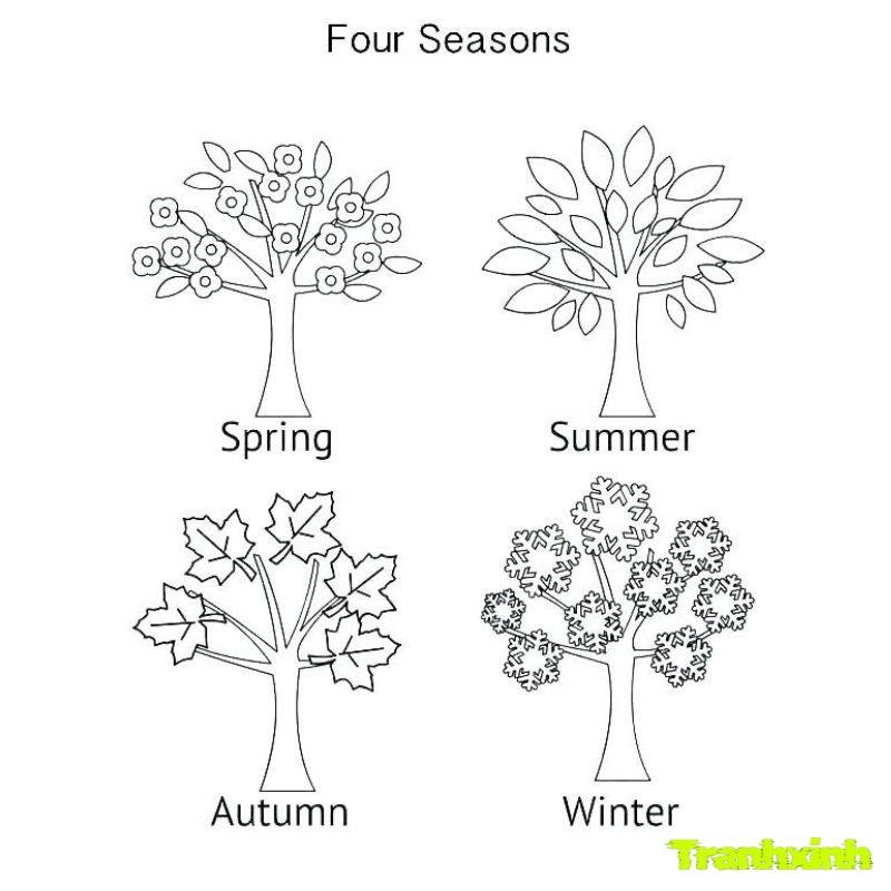 hinh anh tranh tô màu các mùa trong năm
